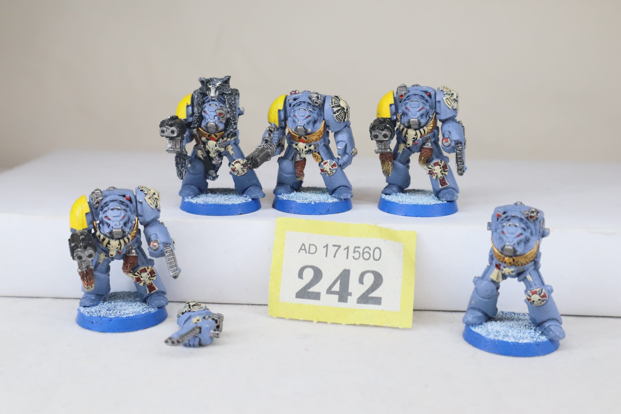 Space Wolf Terminator meal