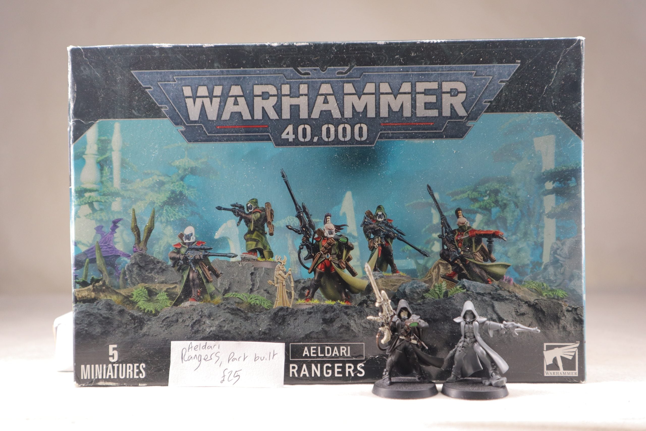 Aeldari Rangers (Part-Built)