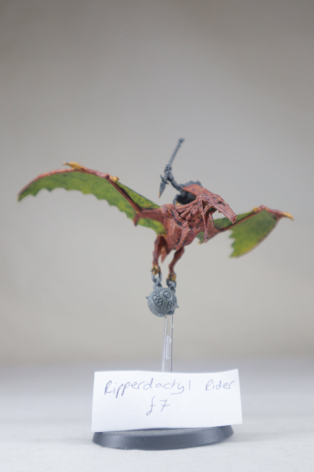 Ripperdactyl Rider