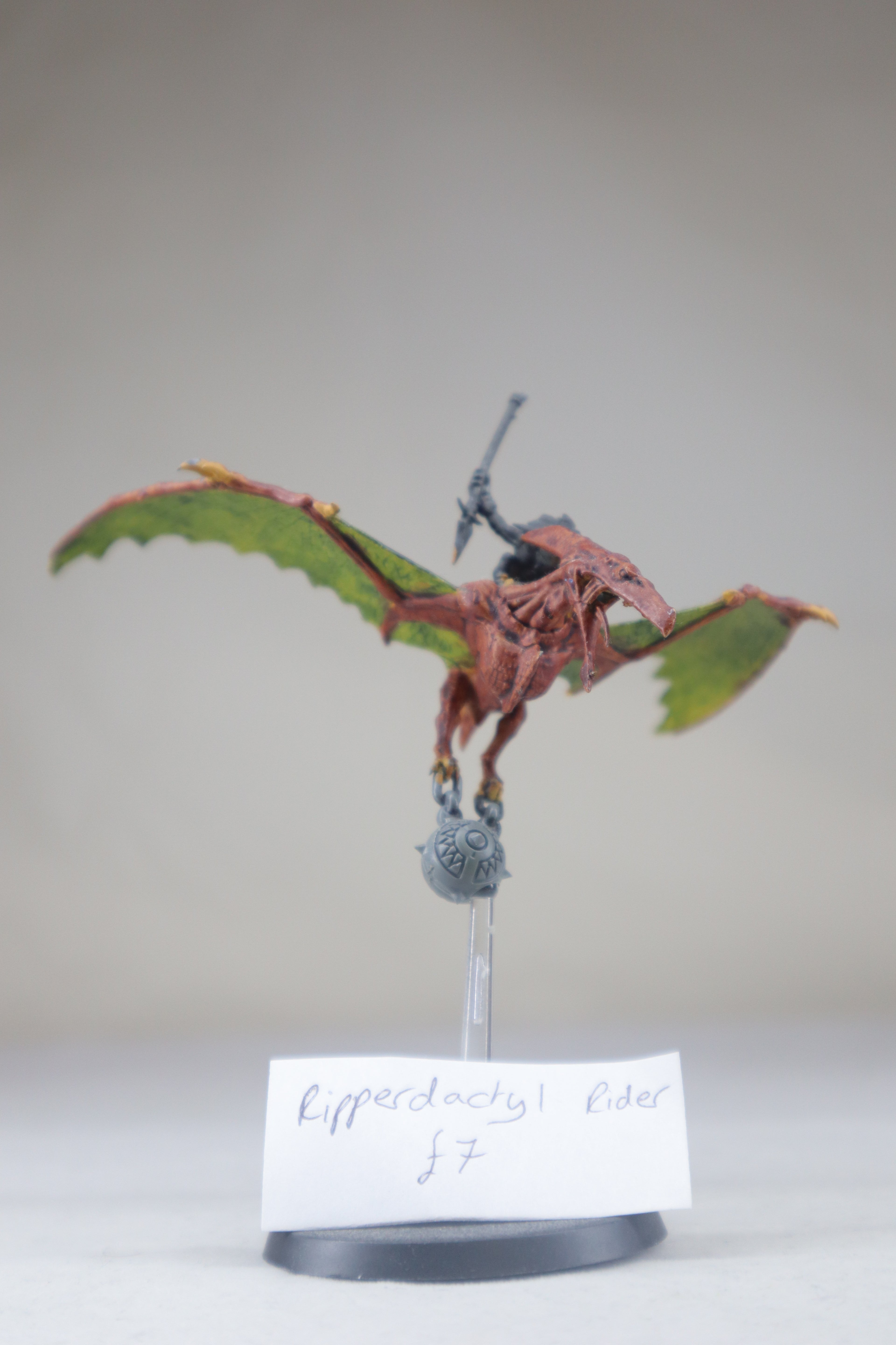 Ripperdactyl Rider
