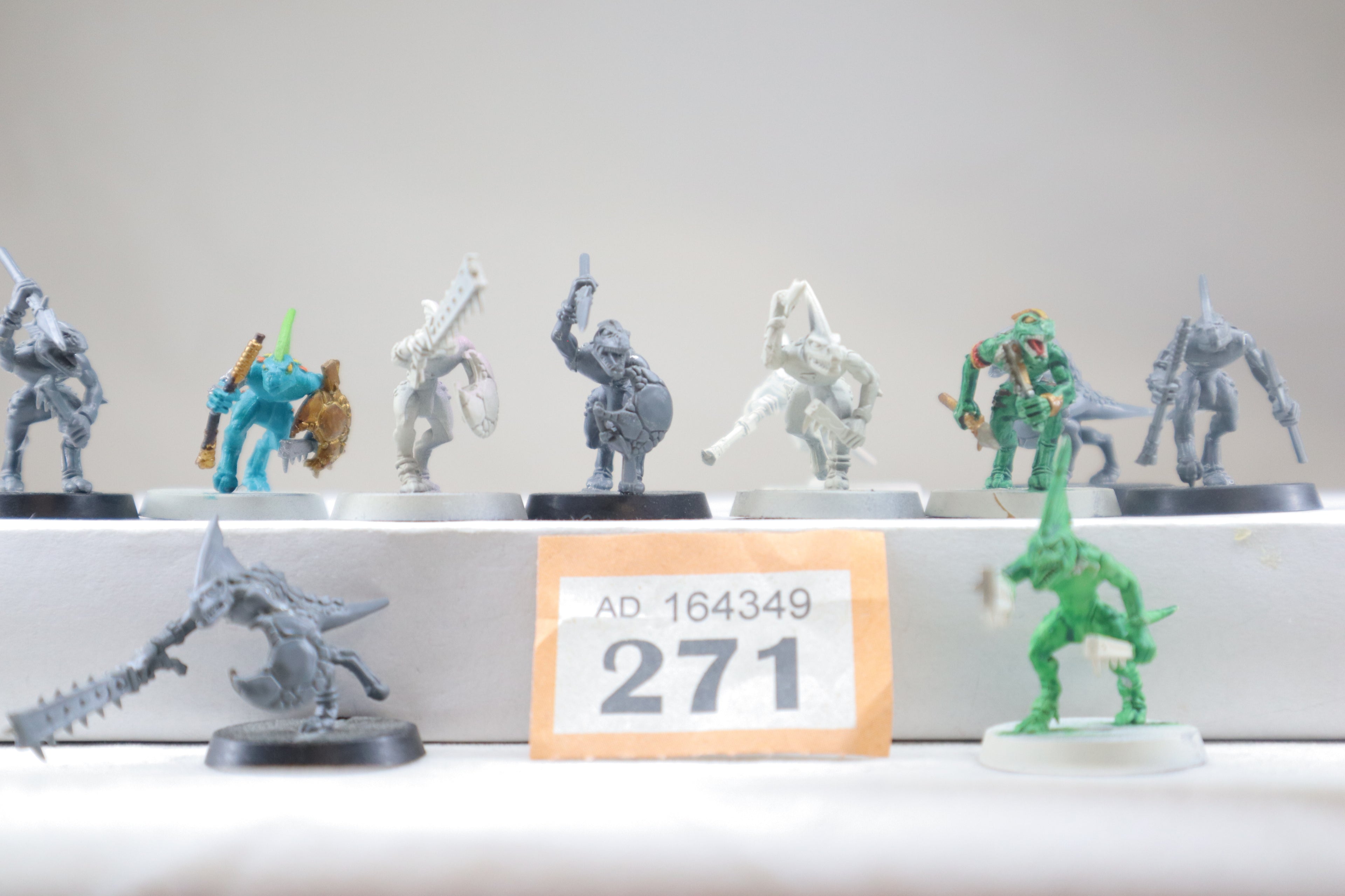 chameleon skinks x11 (O271