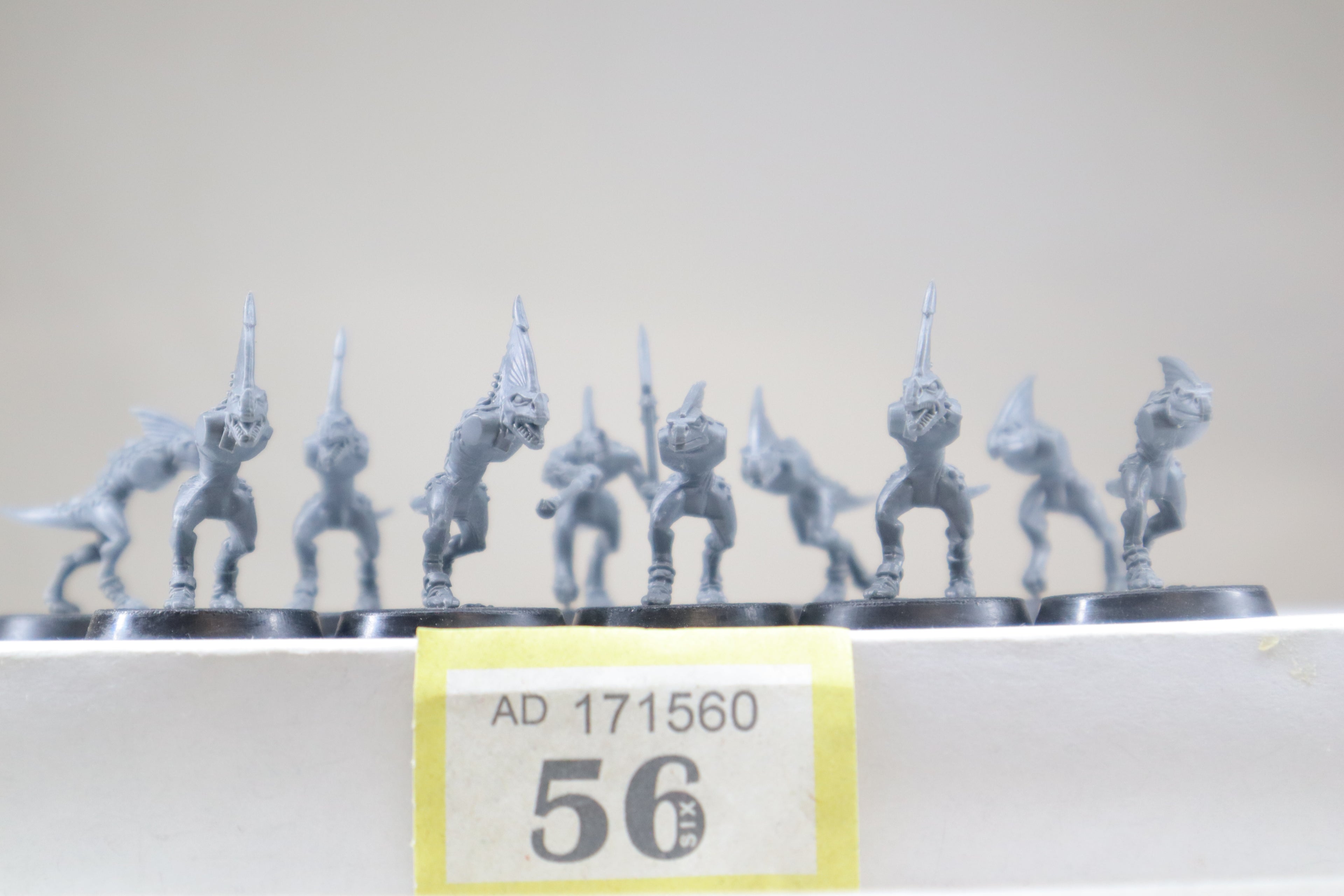Skink x10 (Y56