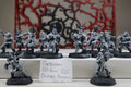 Bretonnian Blood Bowl Team - The Brionne Barons (Part Built)