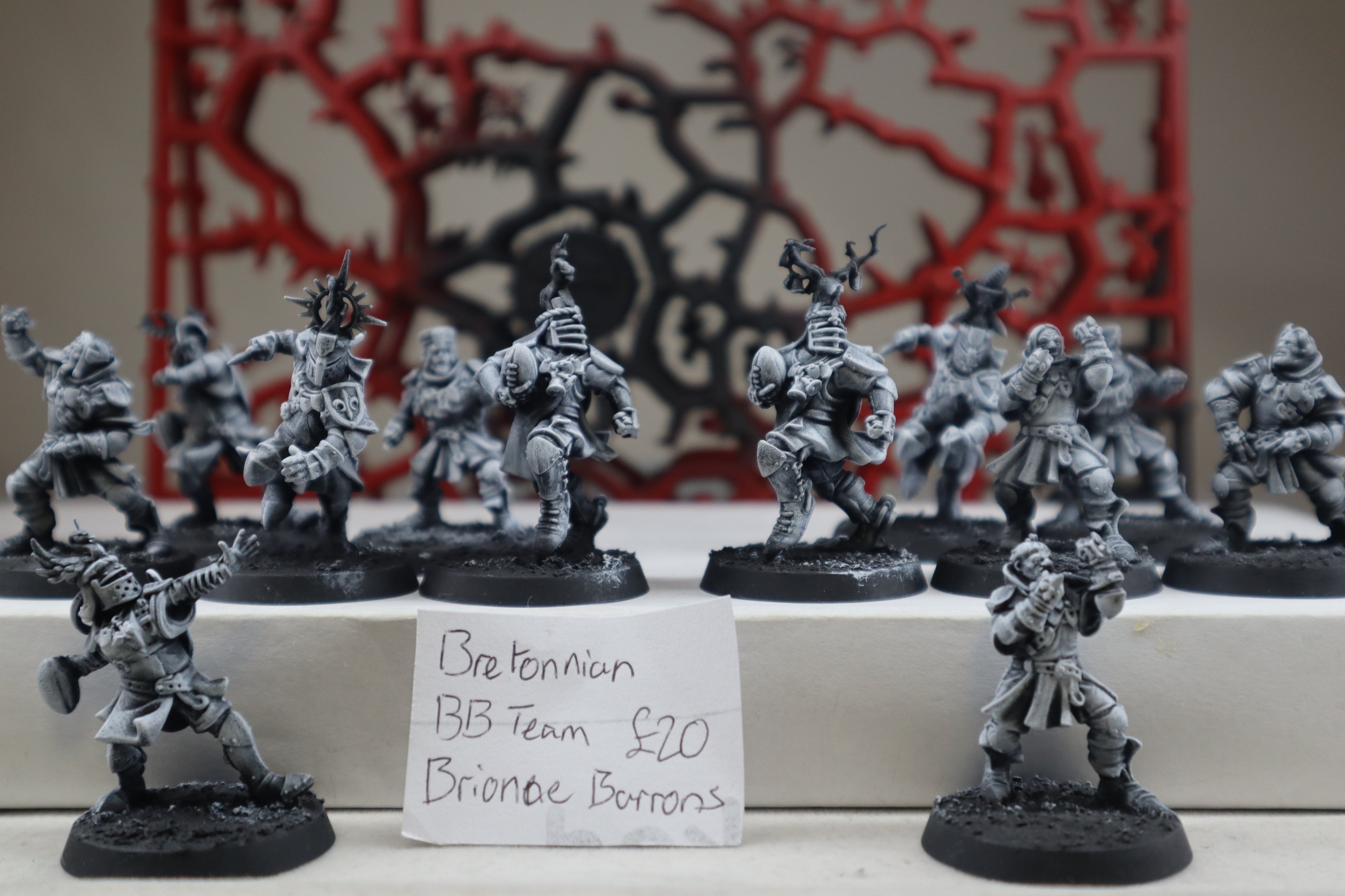 Bretonnian Blood Bowl Team - The Brionne Barons (Part Built)