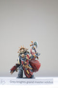 Grand Master Voldus