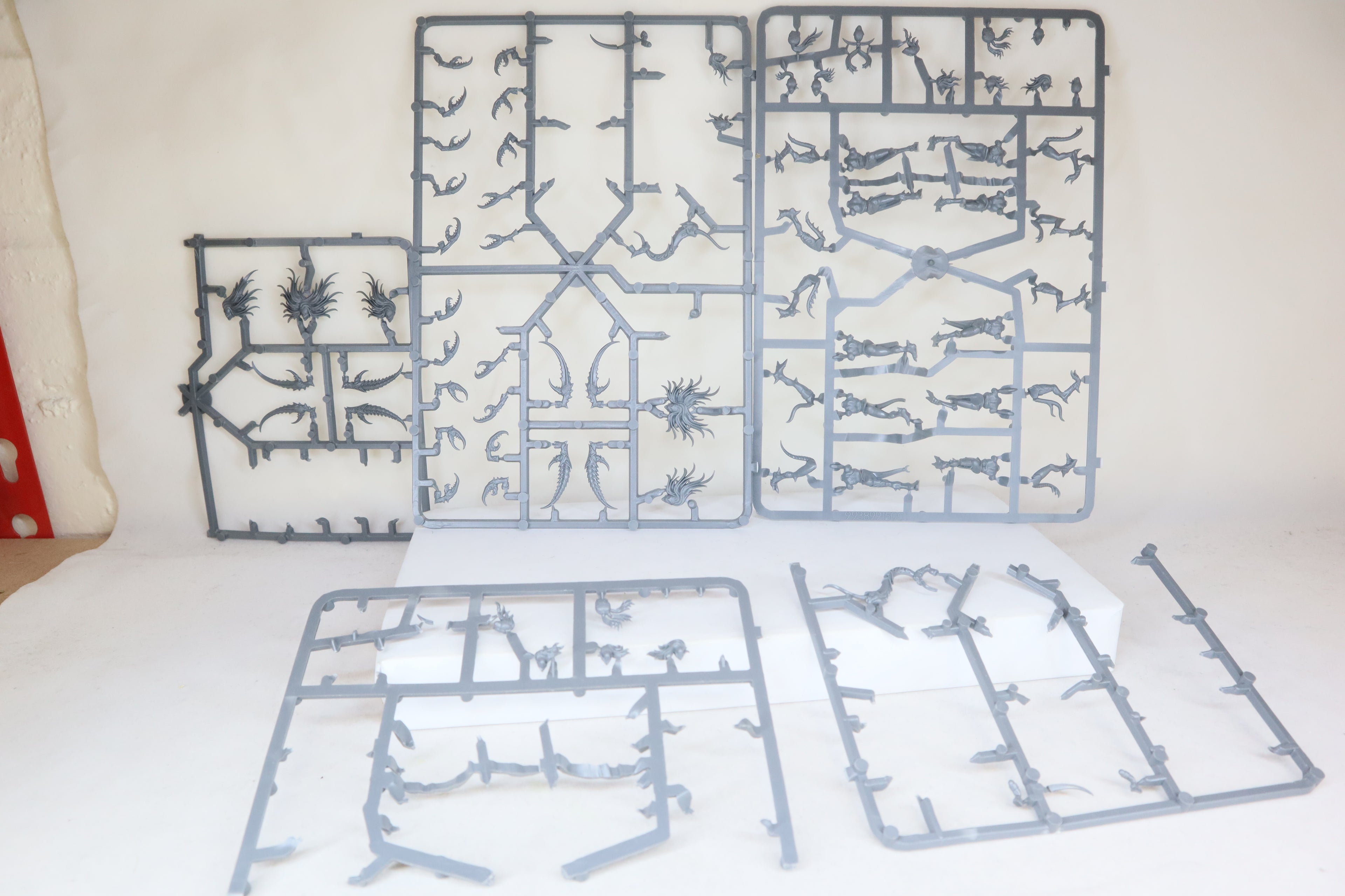 Daemonettes of Slaanesh Parts missing