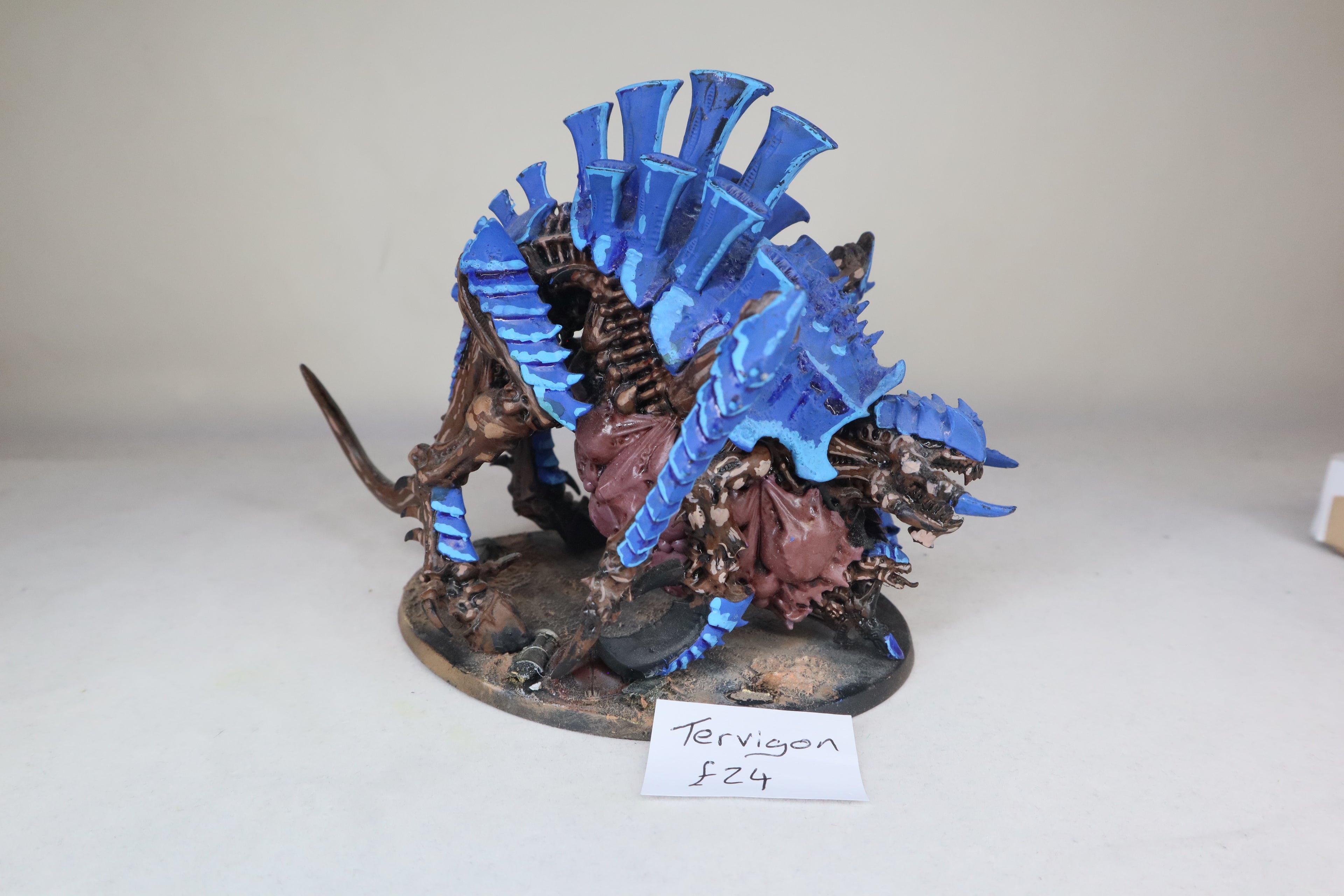 Tervigon