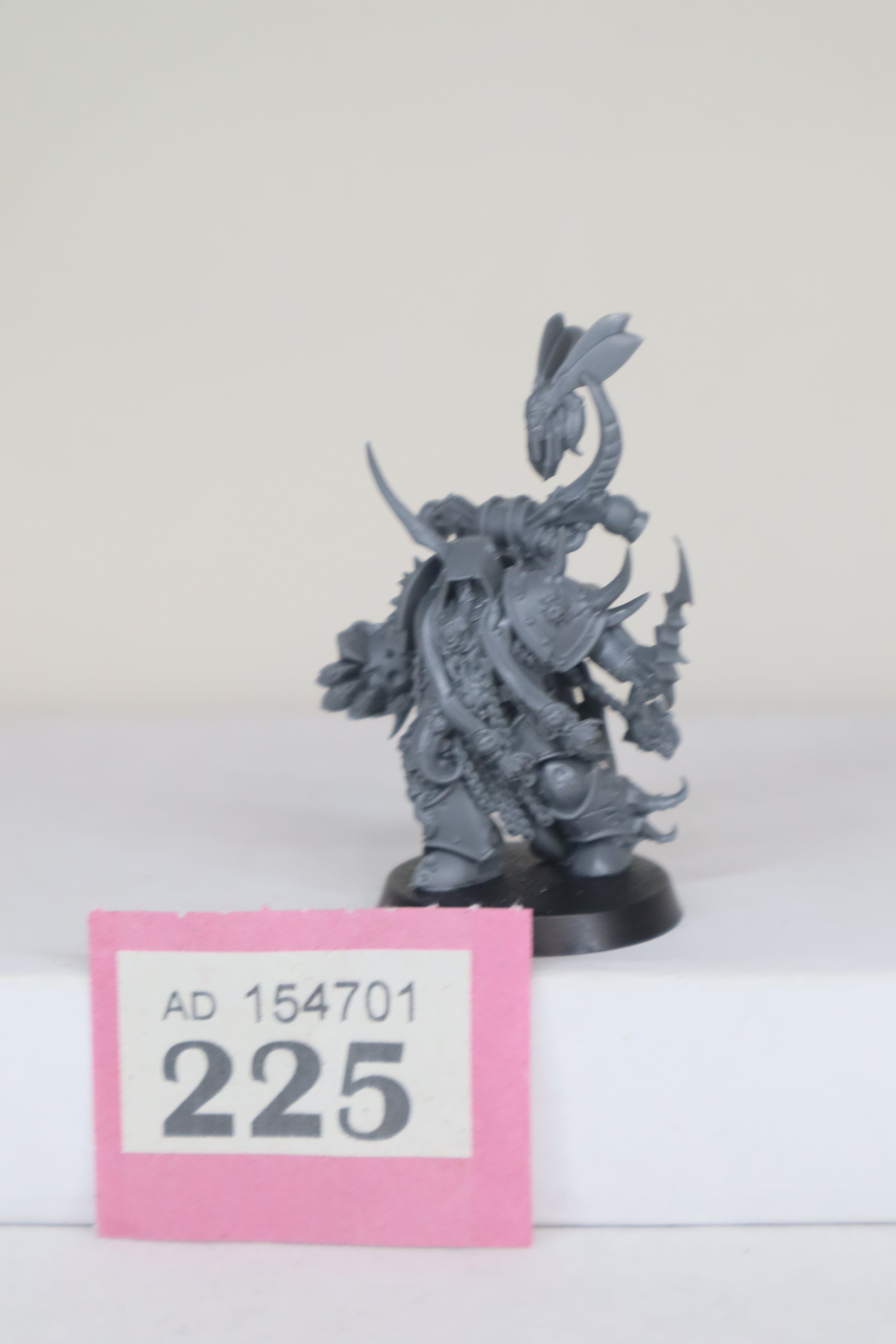 Plague Marine Champion