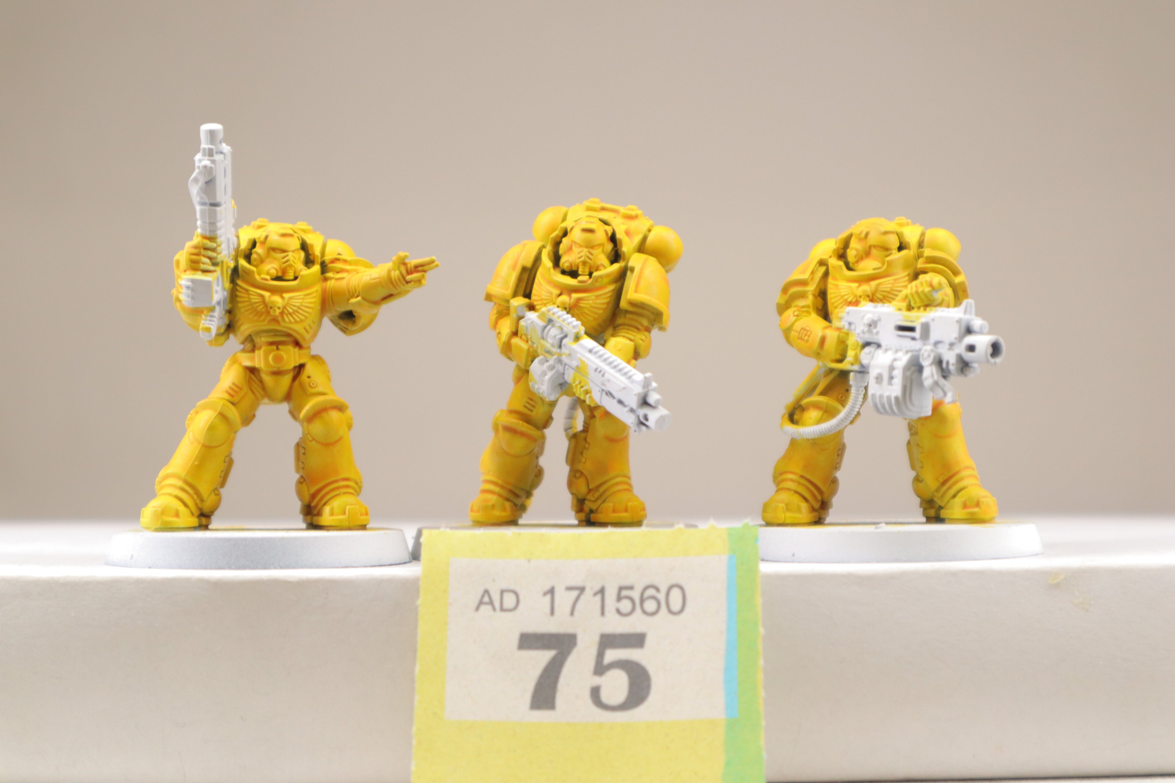 Heavy Intercessor Squad