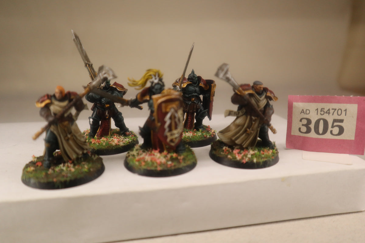 Stormcast Eternal Warband
