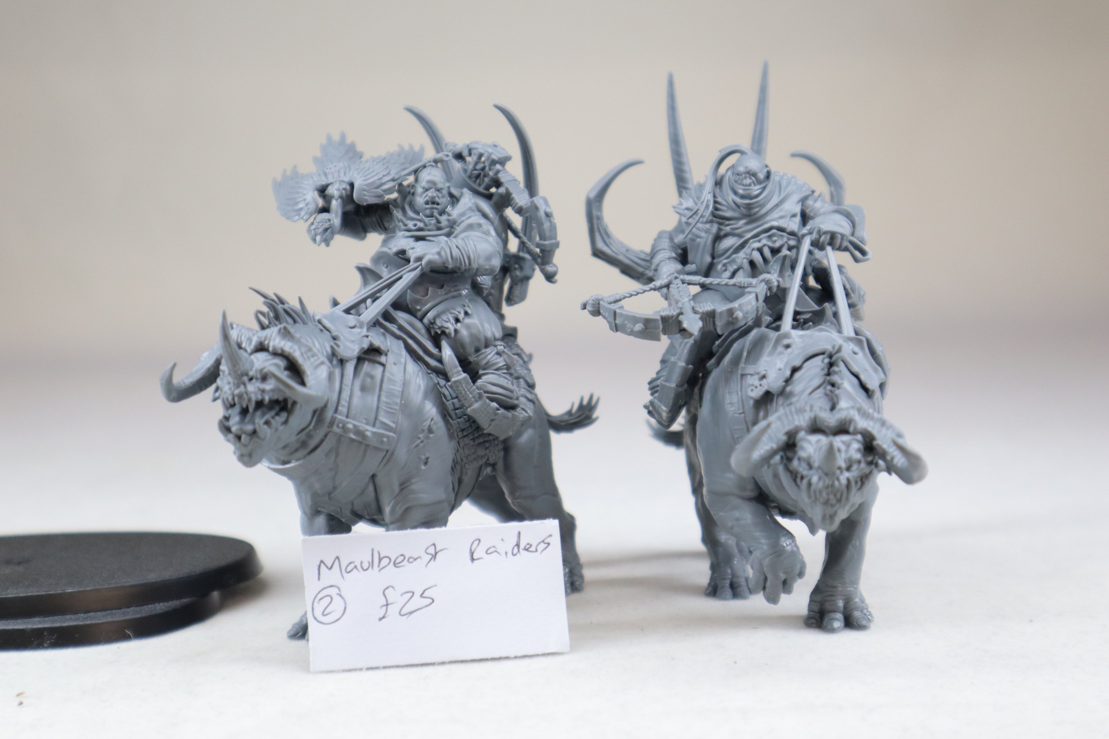 Ogor Mawtribes Maulbeast Raiders