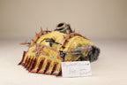 Death Guard Plagueburst Crawler
