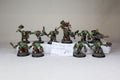 10 Ork Boyz Pro painted