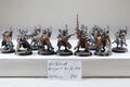 Skitarii Rangers