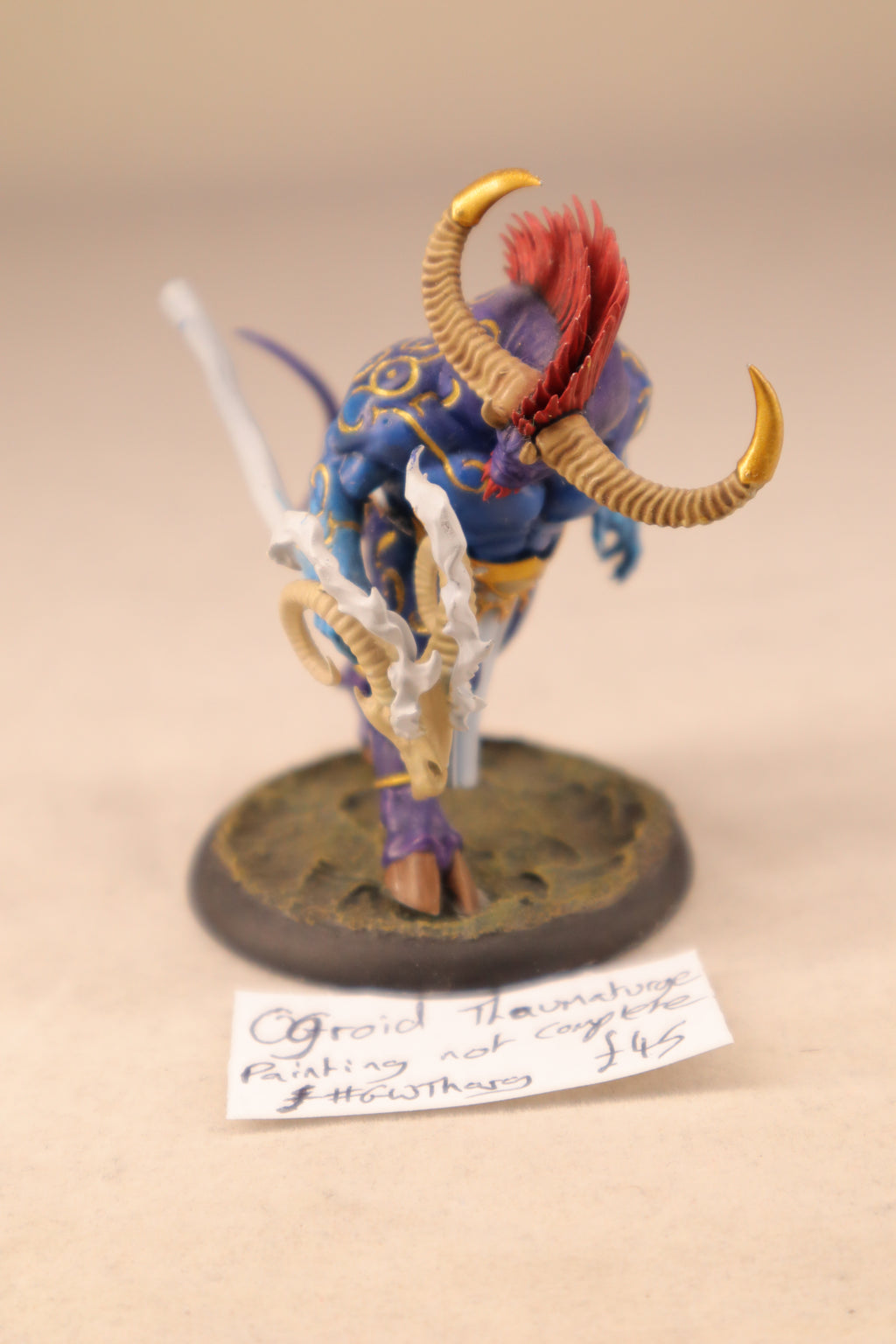 Ogroid Thaumaturge