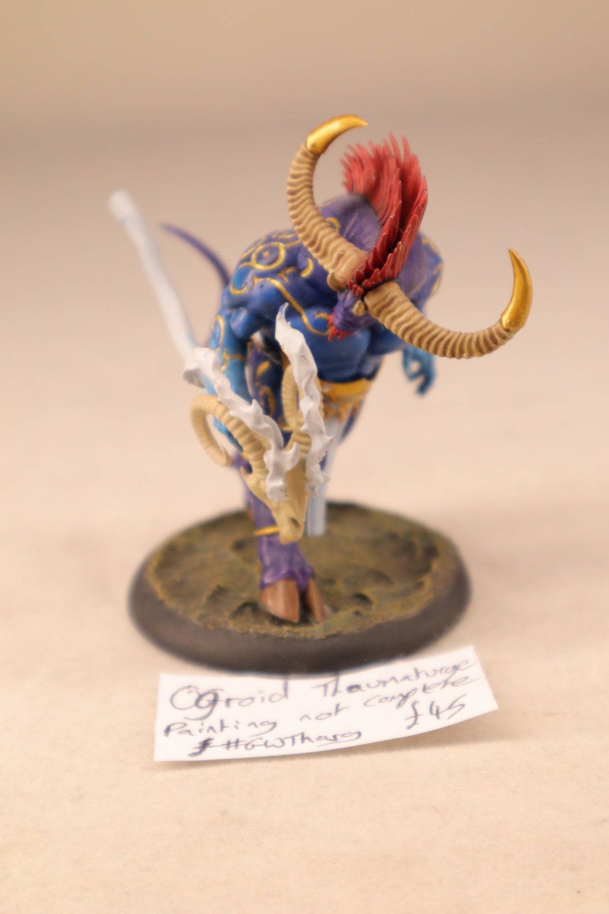 Ogroid Thaumaturge