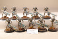 Necron Warriors