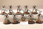 Necron Warriors