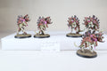 Barbgaunts pro painted