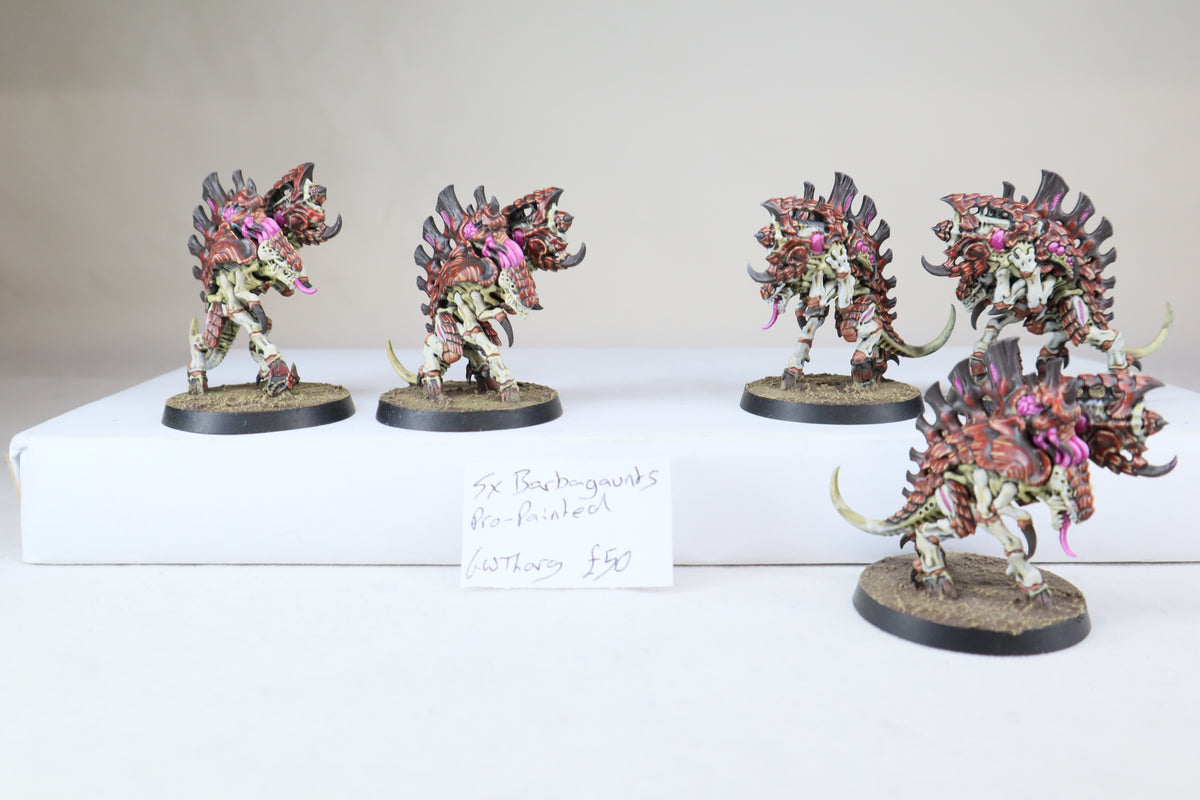 Barbgaunts pro painted