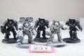 Terminator Squad