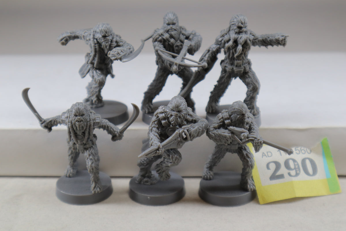 StarWars: Kashyyyk Wookiee