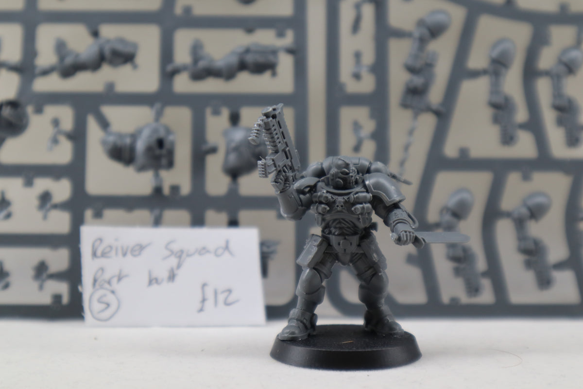 Reivers Squad (Part Built)