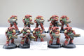 Blood Angel Infernus Marines