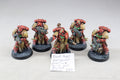sternguard veterans