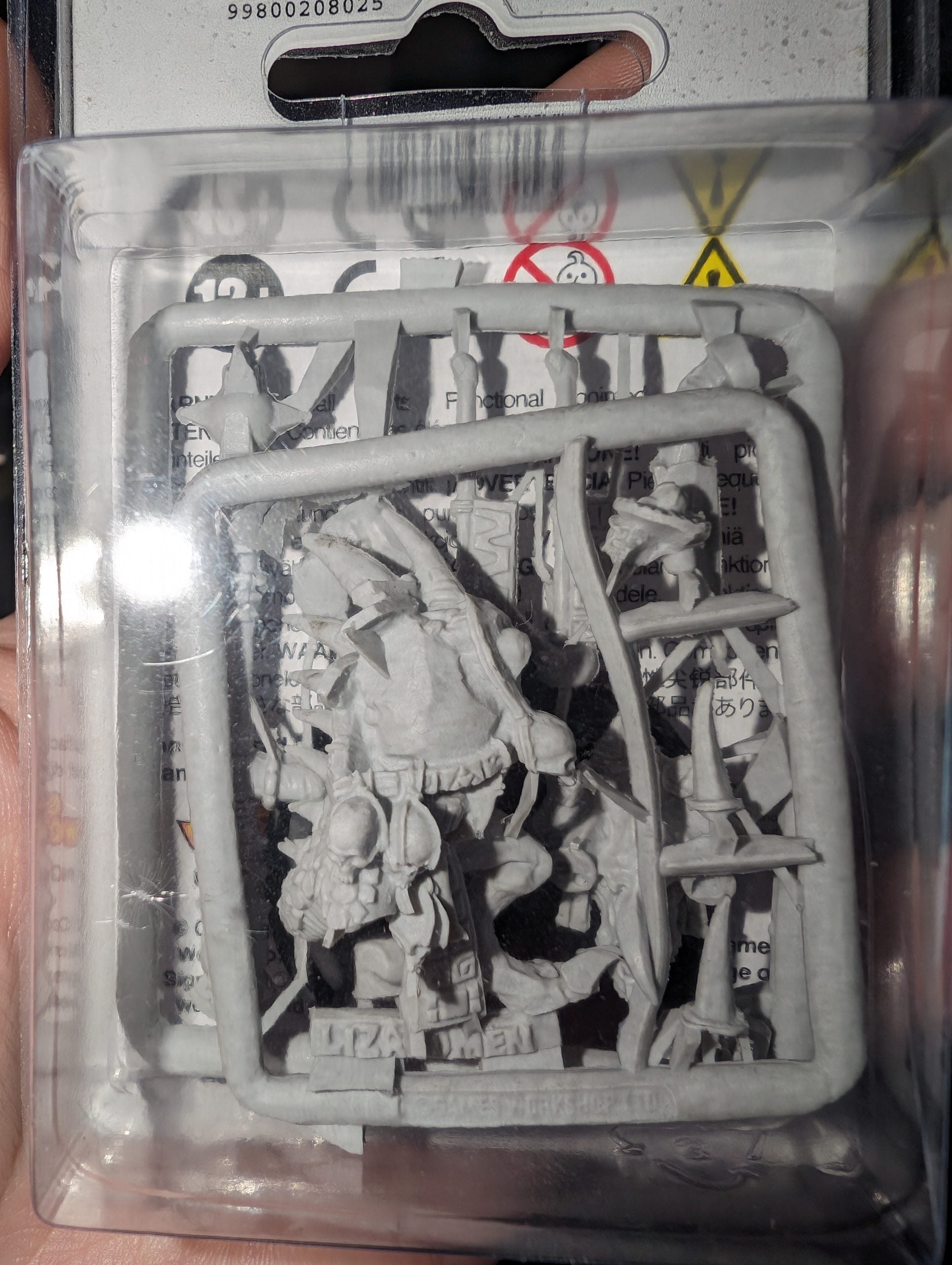 Saurus Eternity Warden (in box)