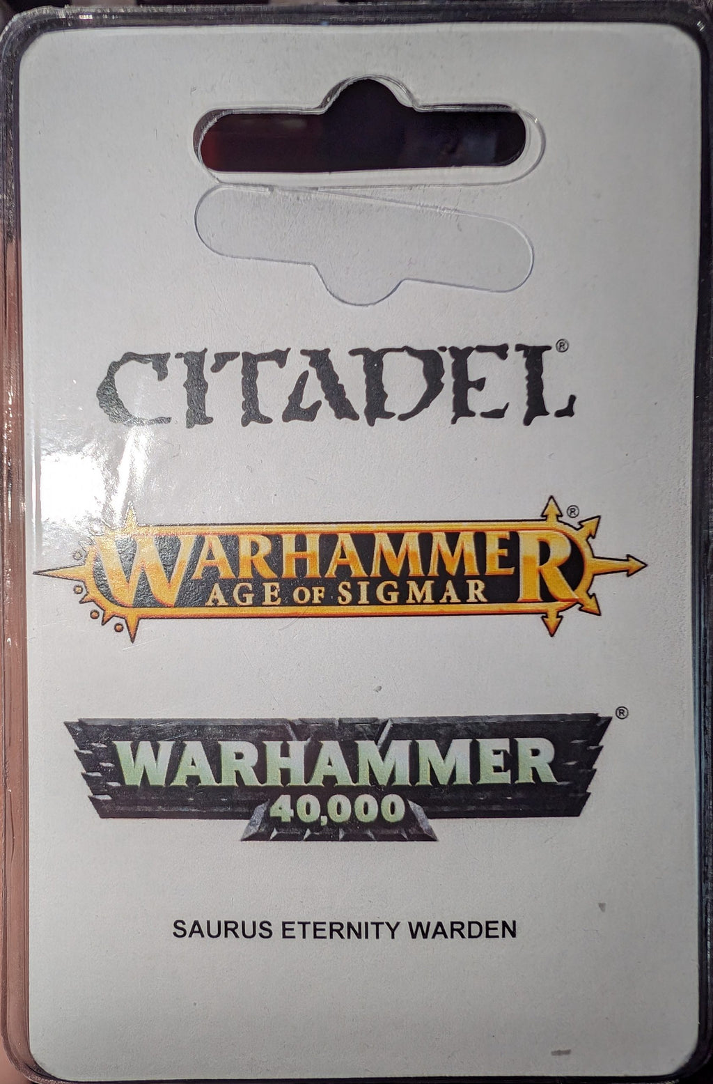 Saurus Eternity Warden (in box)
