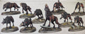 Dire Wolves (10 models on Sprue)