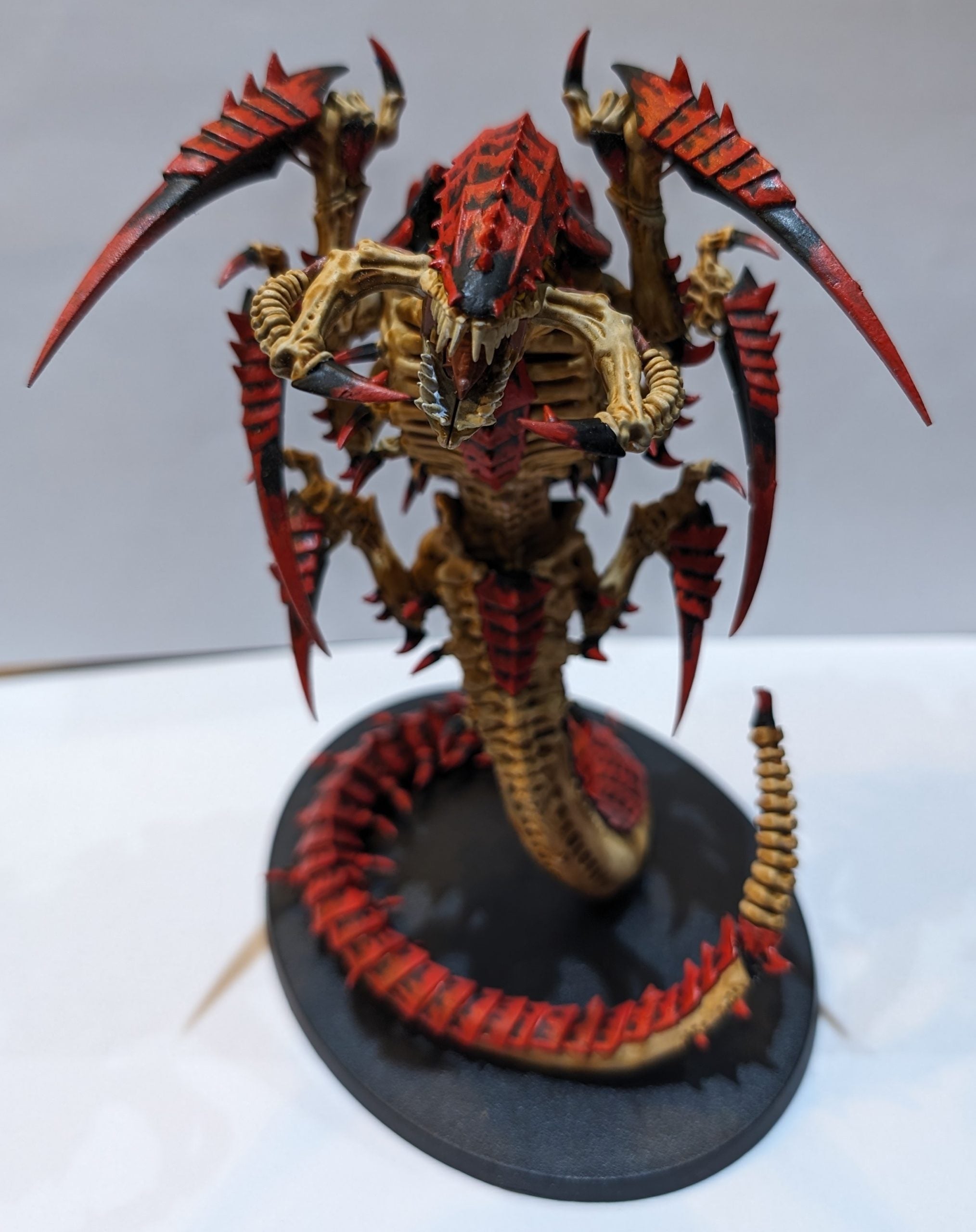 Trygon (Built)