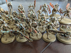 Necron Army Painted (Indomitus Half)