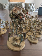 Necron Army Painted (Indomitus Half)