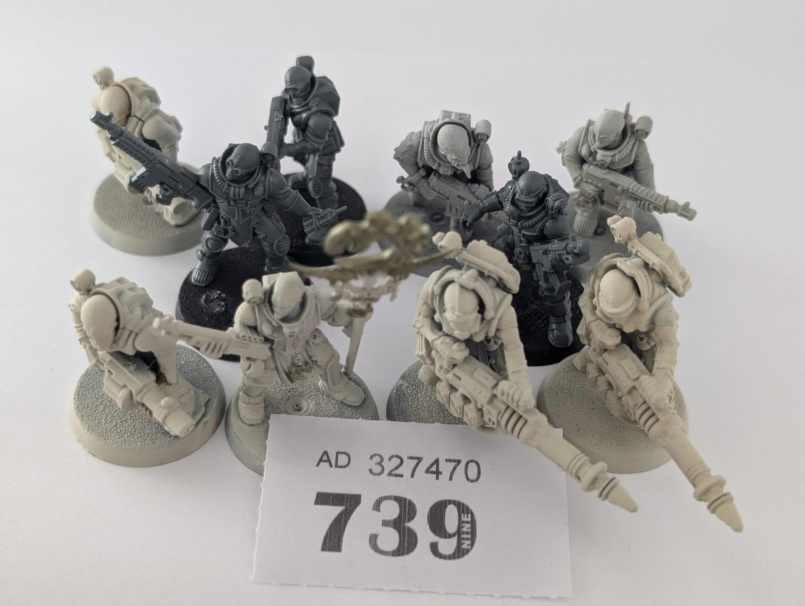 Neophyte Hybrids
