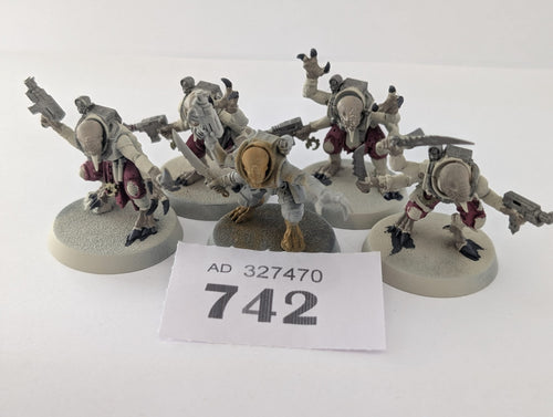 Acolyte Hybrids