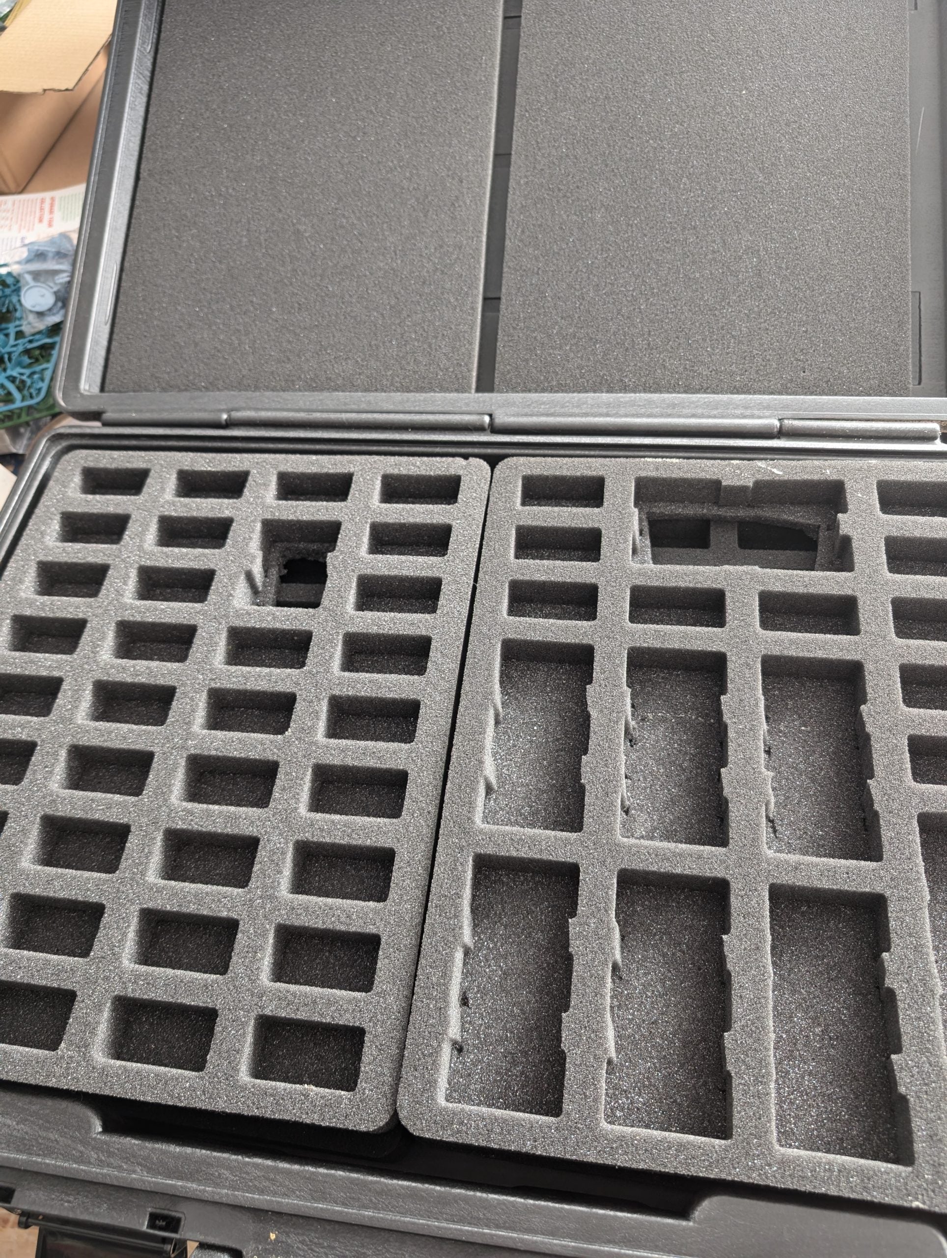 Large Games Workshop Cary Case