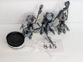 Endrinriggers / Skywardens
