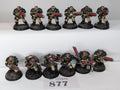 12 Scouts (Painted as Dark Angels)