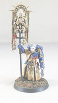 Space Marines Ancient (Pro-Painted)