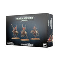 SerberysRaiders