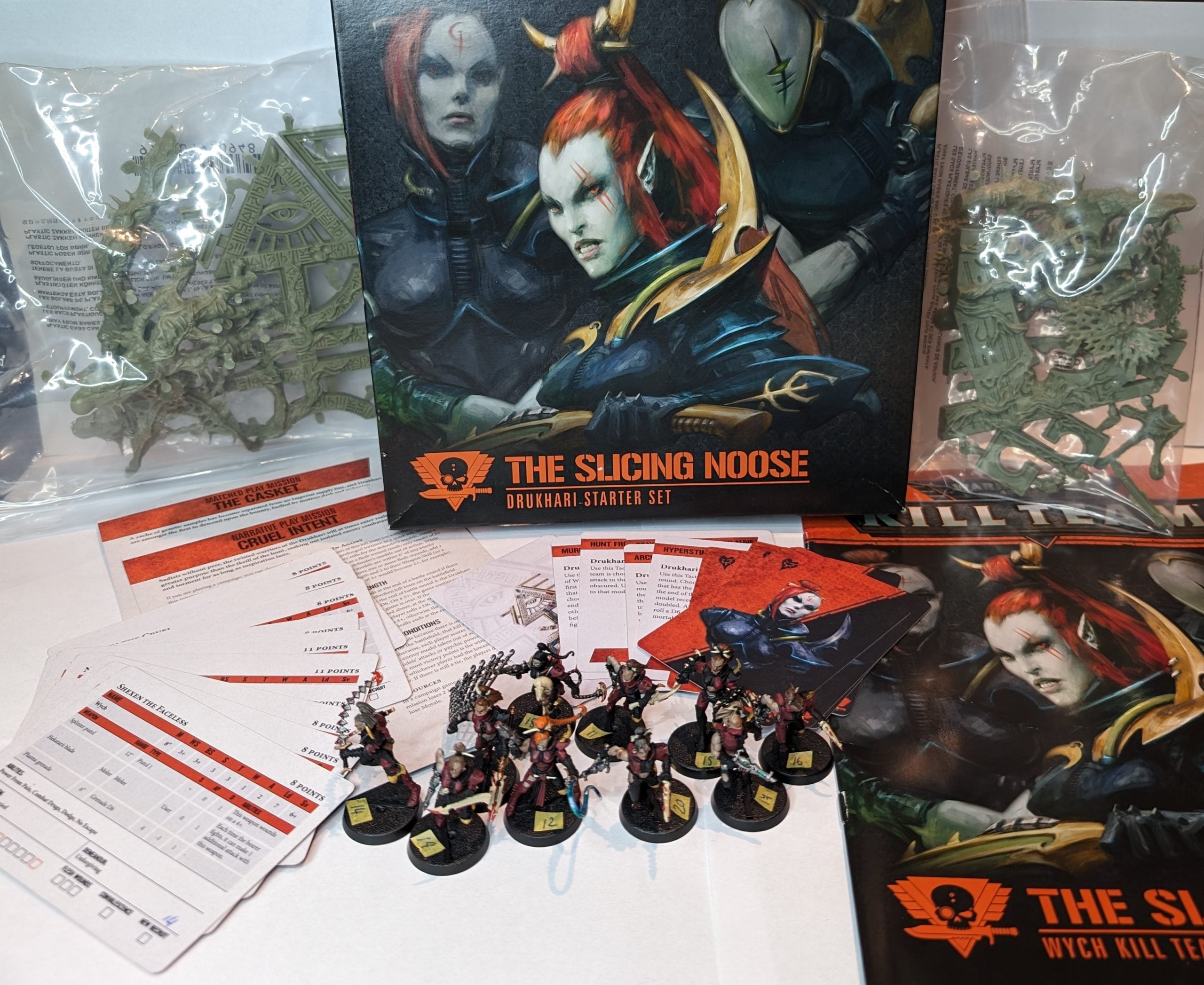 The Slicing Noose Drukhari Starter Set