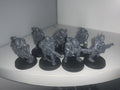 7 x Neophyte Hybrids