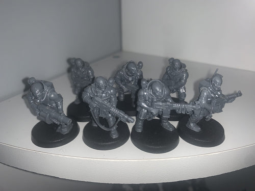 7 x Neophyte Hybrids
