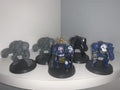 5 Terminators