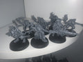 7 x Acolyte Hybrids