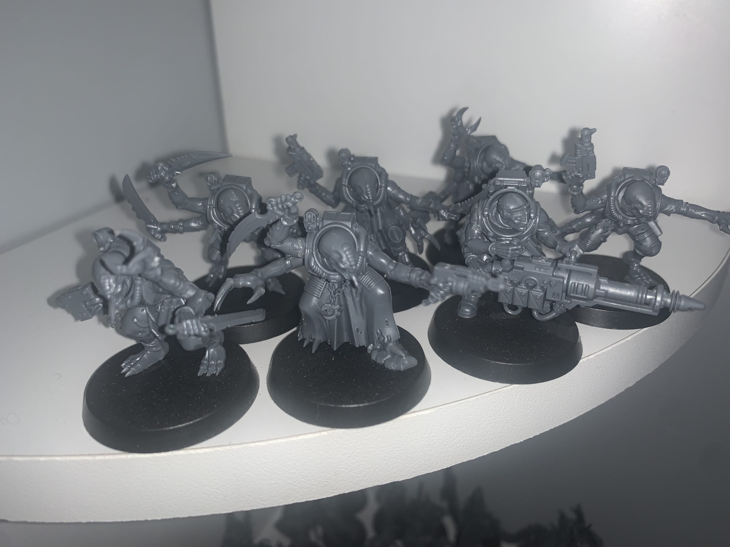 7 x Acolyte Hybrids