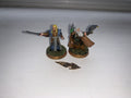 Radagast and armoured Celeborn