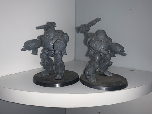 2 Kastelan Robots